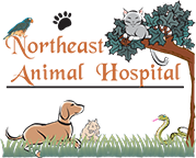 Northeast Animal Hospital, Inc.